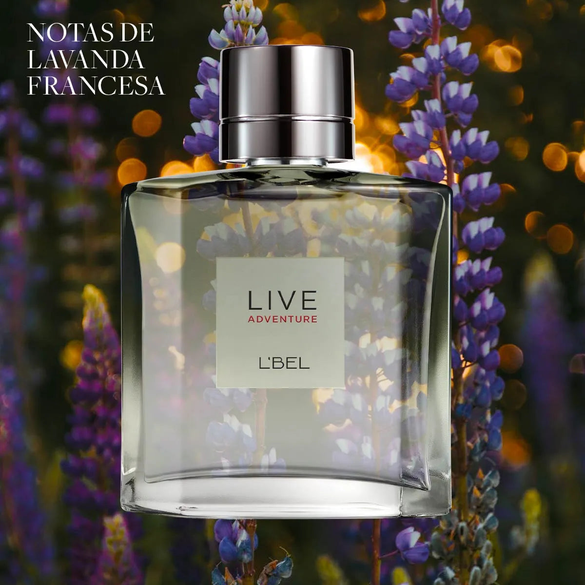 LIVE ADVENTURE Perfume Para Hombre 100 ml.