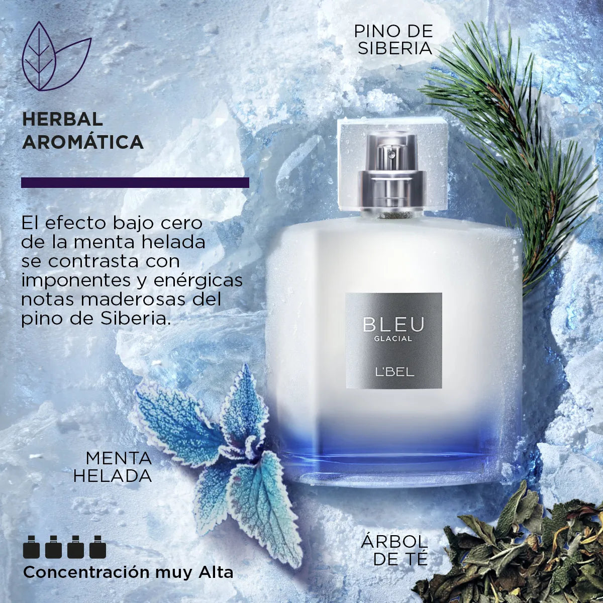 Bleu Glacial Perfume Fresco para Hombre Larga Duración 100 ml